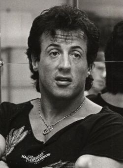 325px-sylvester_stallone.jpg