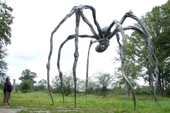 spindel Jättespindel i Wanås