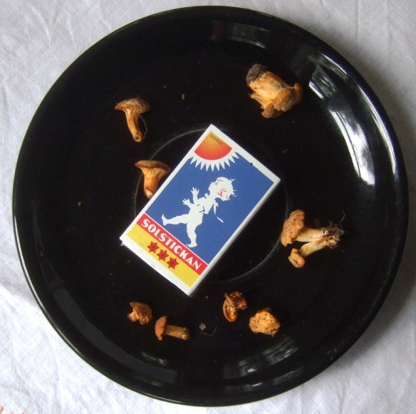 Förstora bilden - inte kantarellerna...