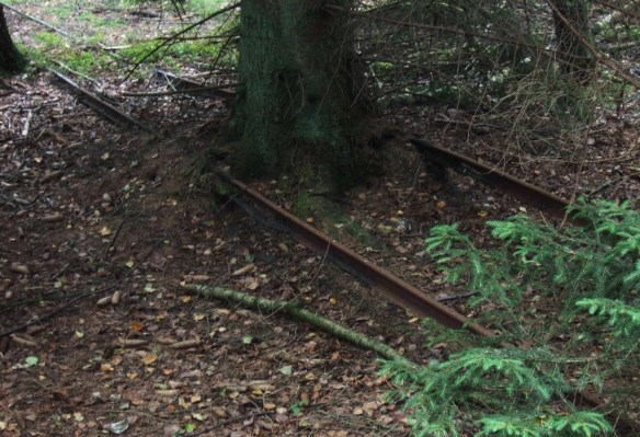 Klickbar bild - spår av natur