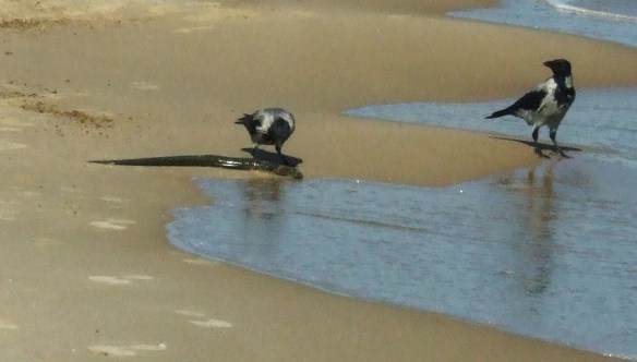 090920 006 090920 006