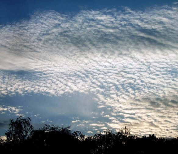 Himmel över Slottsparken - förstora