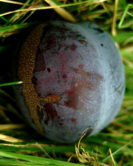 plo Vad är kvalitet?