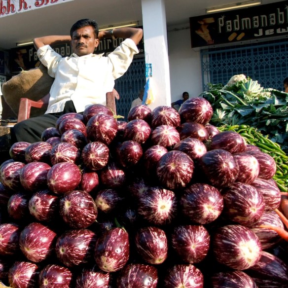 Aubergine - förstora