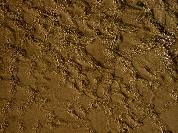 Klammersbäckens utlopp - förstora!