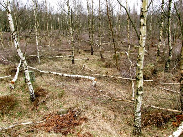 Efter inspektionen - förstora!