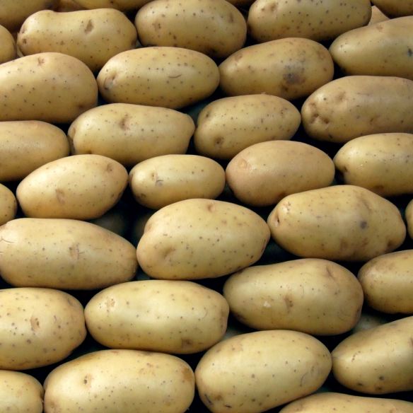 Går det lika bra med potatis?