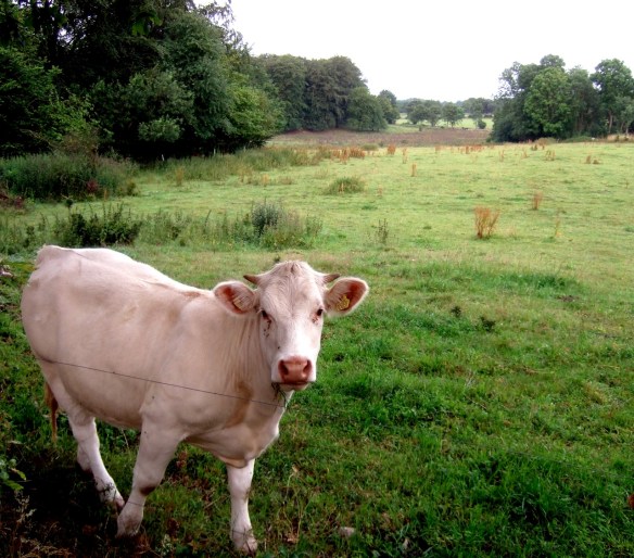 Det är dags att resa sig, Mats!