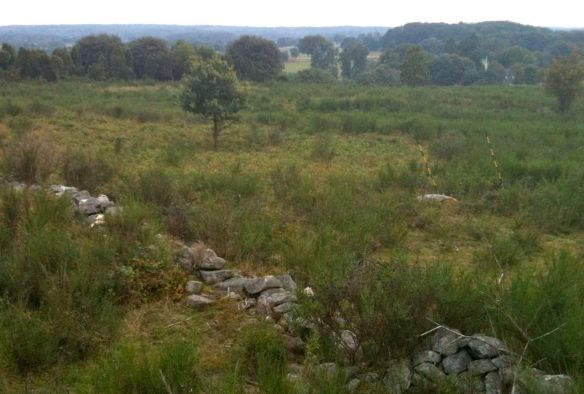 Hjulahultsbacken - Österlens högsta punkt