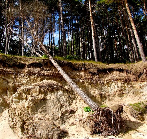 Förstora - kolla jordlagren!