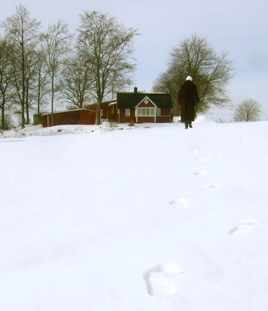 snö2 Spår av svärmor