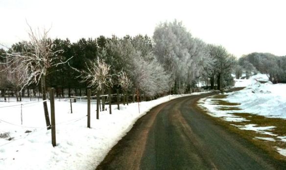 Vart är dom på väg?