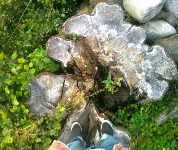 stubbe Allt måste tolkas...