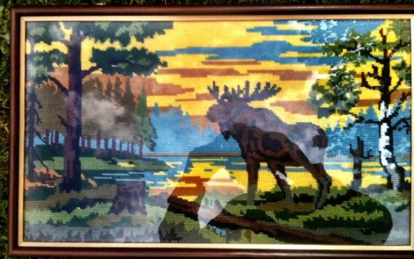 älg - klicka och njut